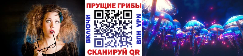 Галлюциногенные грибы мицелий  mega ССЫЛКА  Гусиноозёрск 
